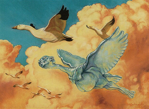 Avian Changeling