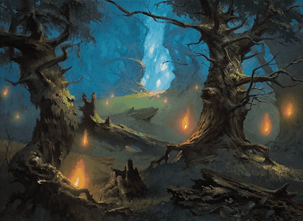 Forest