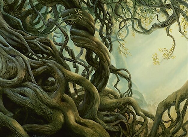 Wall of Roots