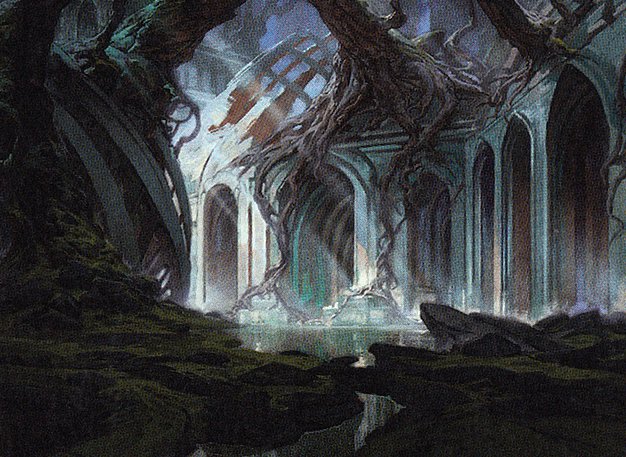 Swamp