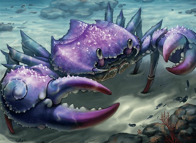 Purple-Crystal Crab