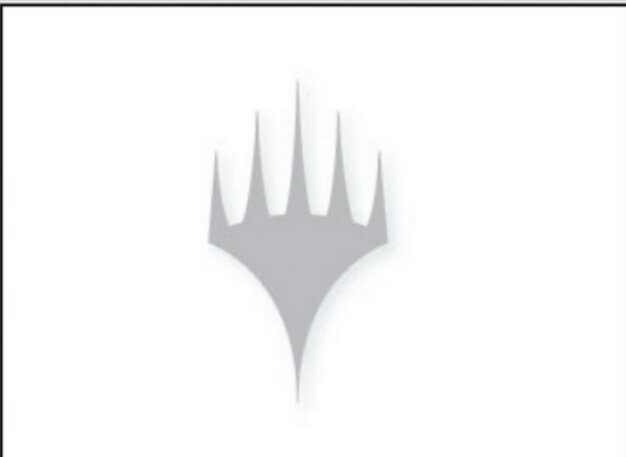 Black Tulip