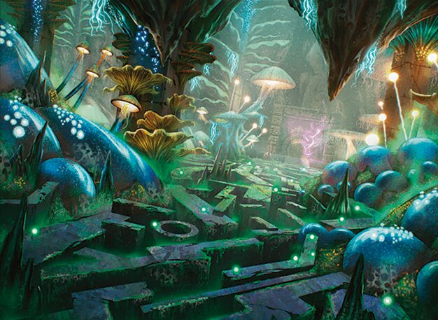 Hidden Nursery
