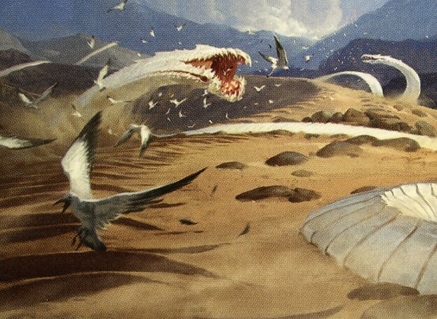 Sandwurm Convergence