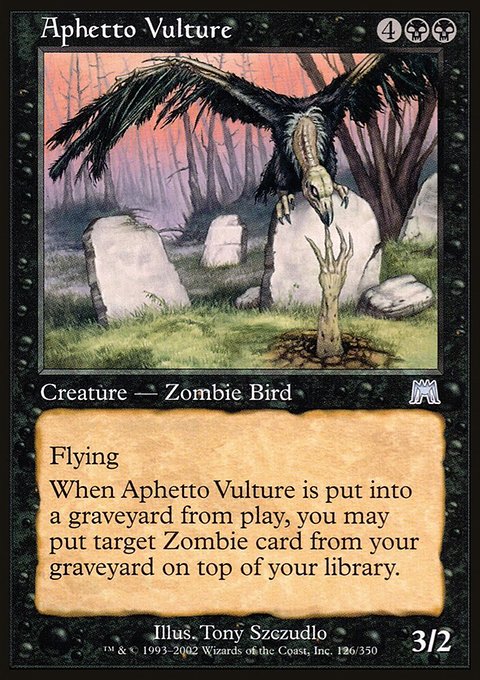 Aphetto Vulture