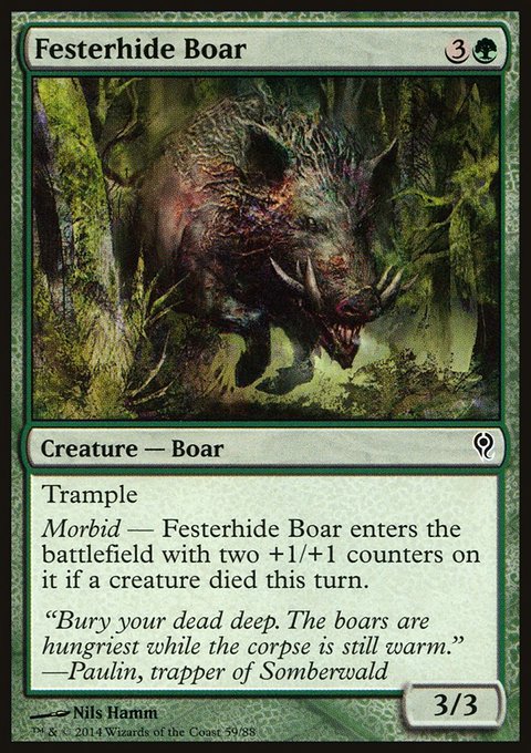 Festerhide Boar