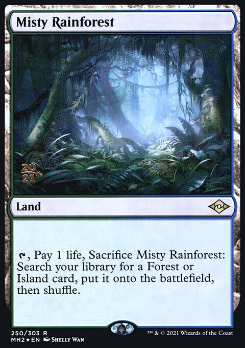 Misty Rainforest