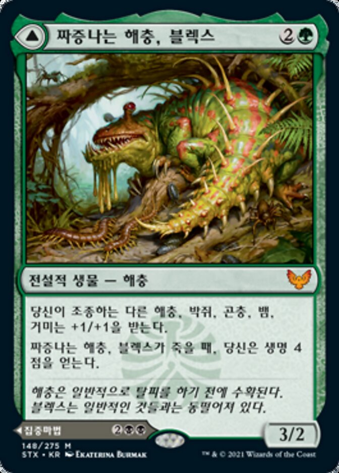 블렉스 탐색