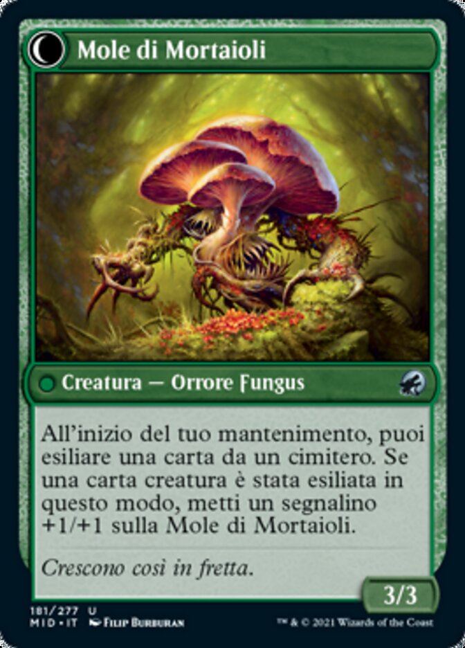 Mole di Mortaioli