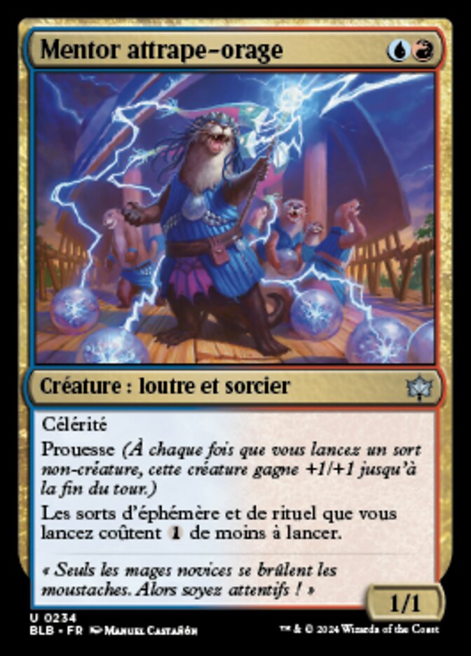 Mentor attrape-orage