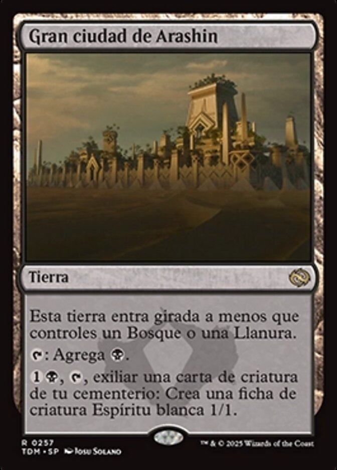 Gran ciudad de Arashin