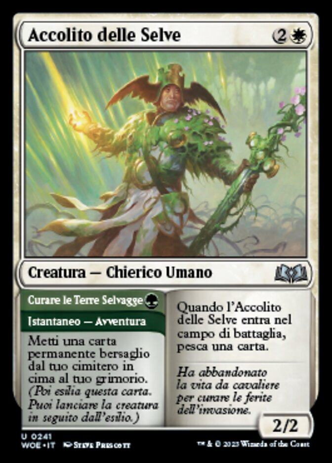 Wizard of the Coast - Magic The Gathering - Terre Selvaggie di