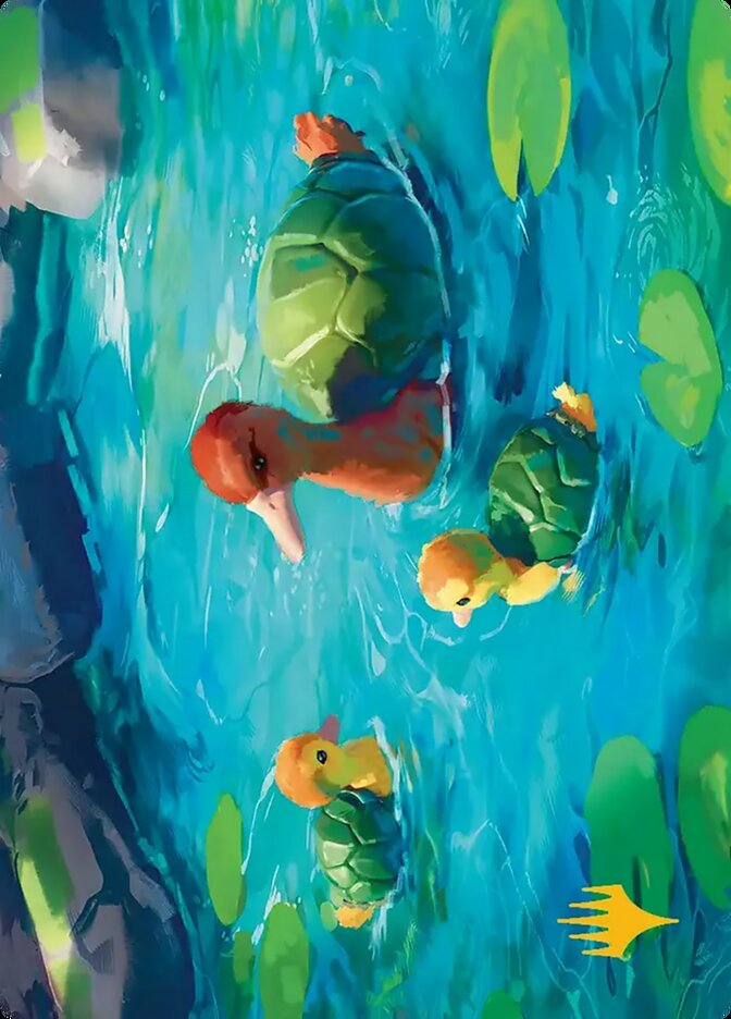 Turtle-Duck // Turtle-Duck