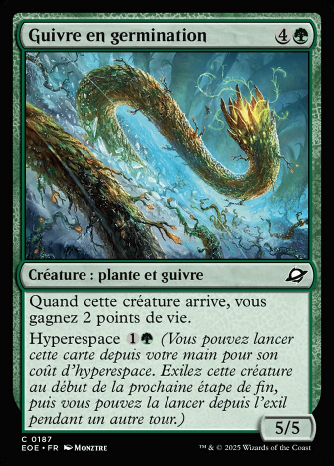 Guivre en germination