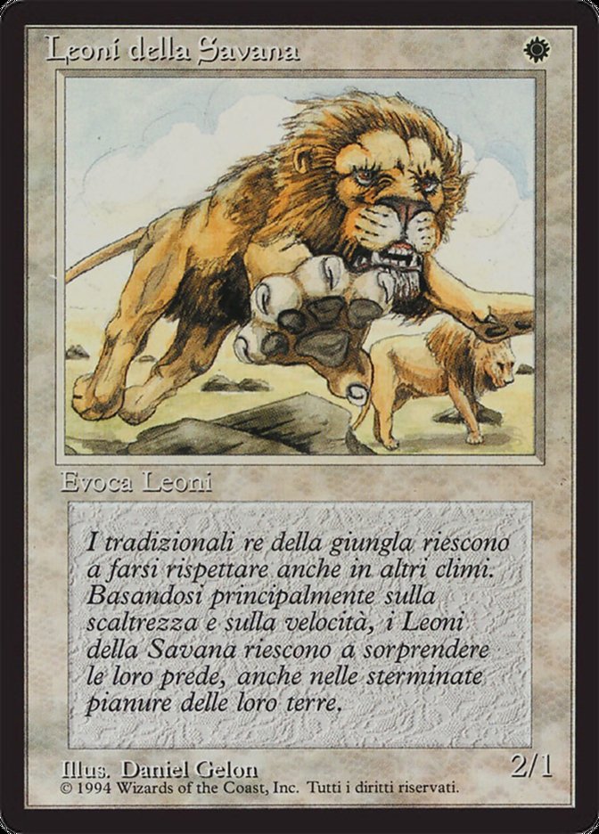 Savannah Lions (Foreign Black Border #39)