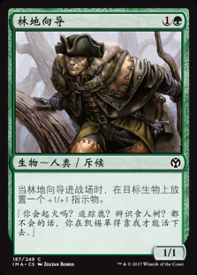 Timberland Guide (Iconic Masters #187)