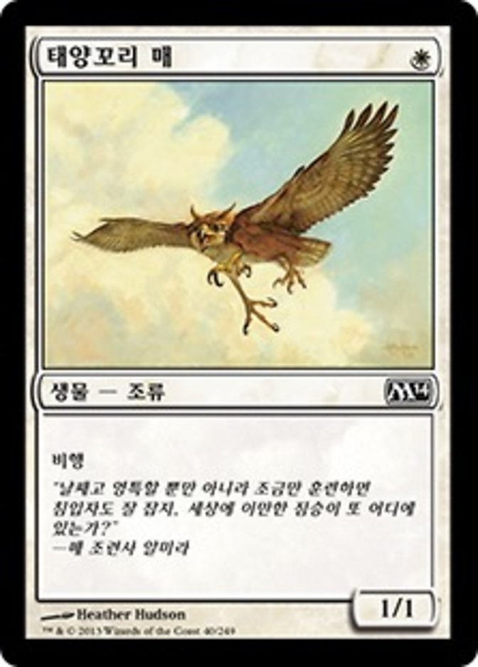 Suntail Hawk (Magic 2014 #40)