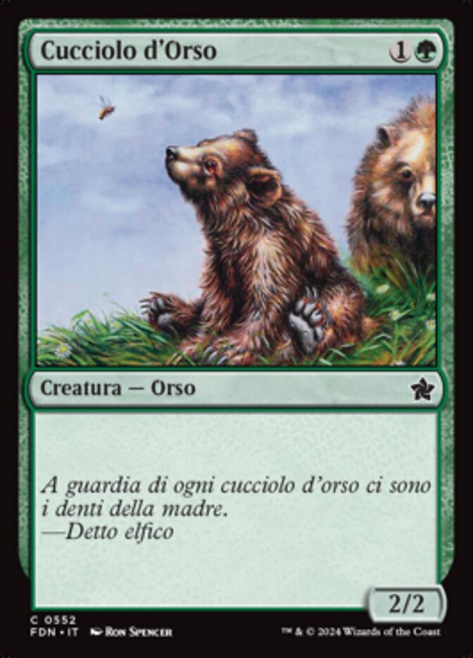 Cucciolo d'Orso