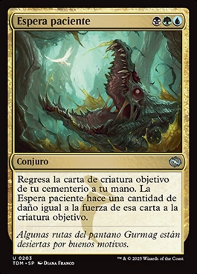 Espera paciente