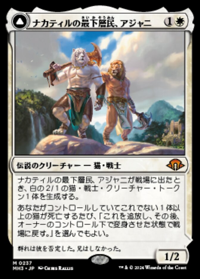 Ajani, Nacatl Pariah // Ajani, Nacatl Avenger (Modern Horizons 3 #237)