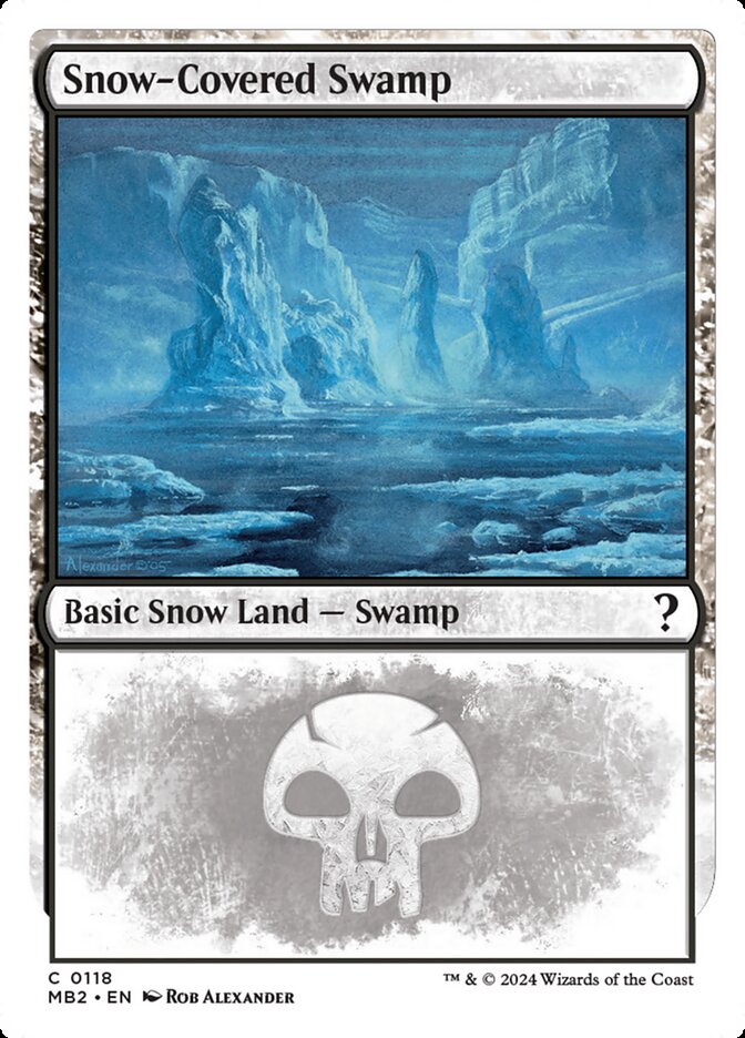 Snow-Covered Swamp