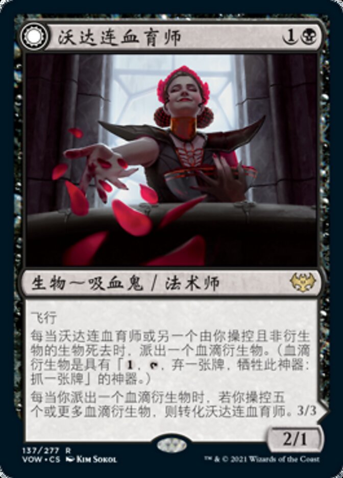 沃达连血育师