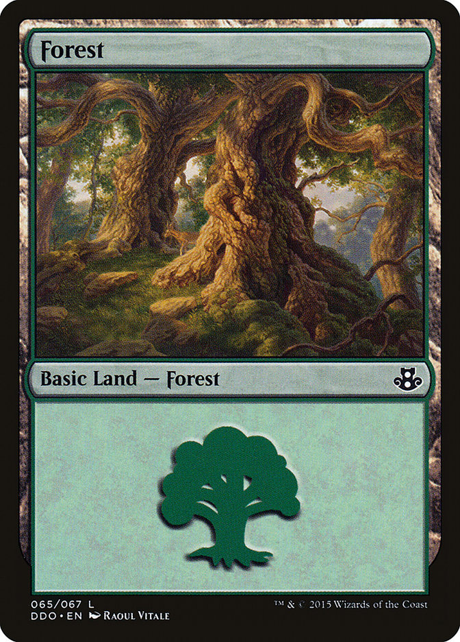 Forest (Duel Decks: Elspeth vs. Kiora #65)