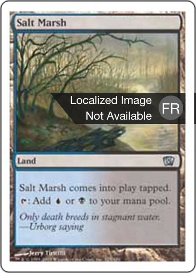 Salt Marsh (Eighth Edition #325)