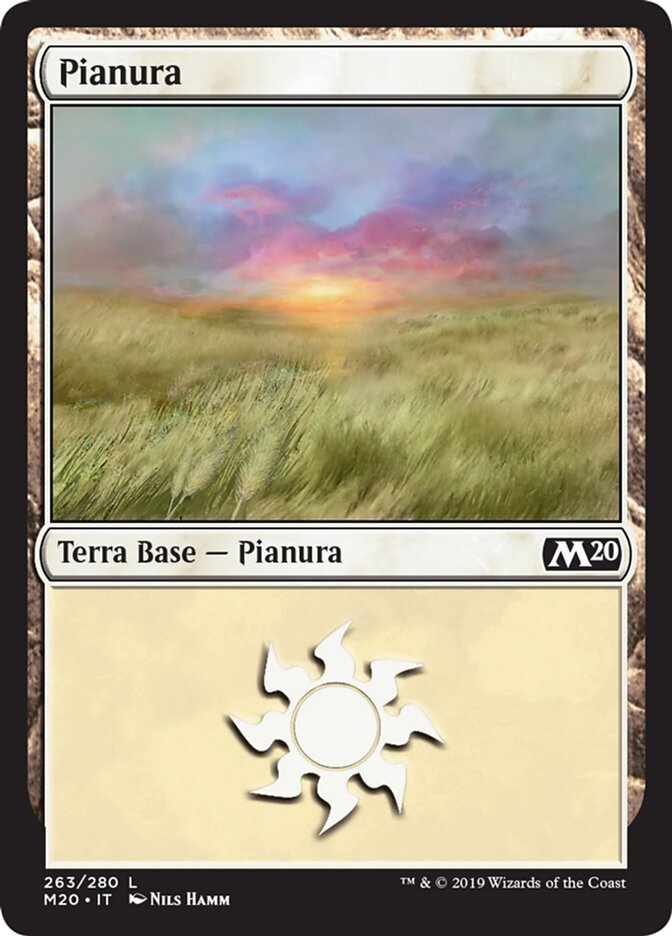 Plains (Core Set 2020 #263)