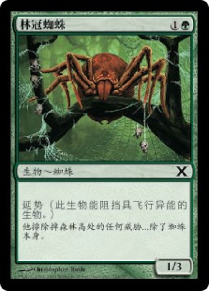 Canopy Spider (Tenth Edition #254)