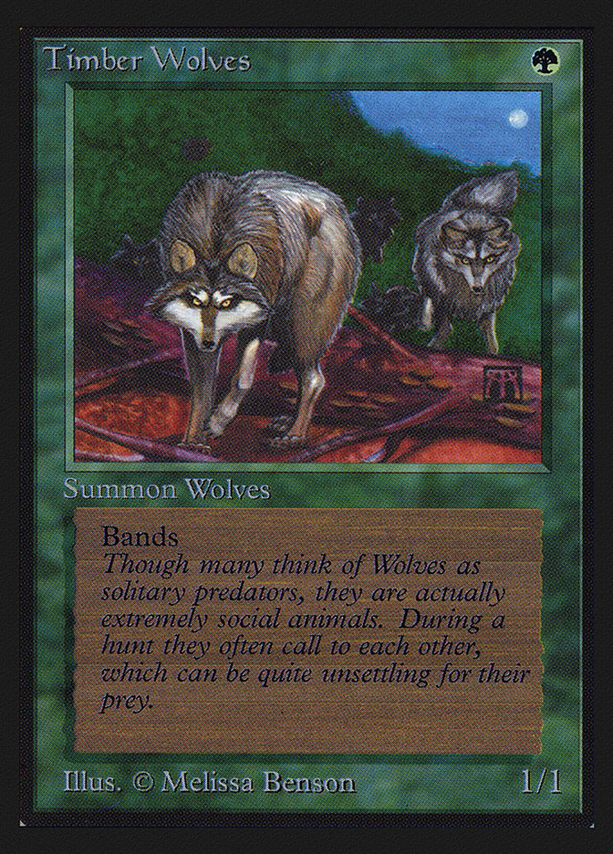 Timber Wolves (Intl. Collectors' Edition #220)
