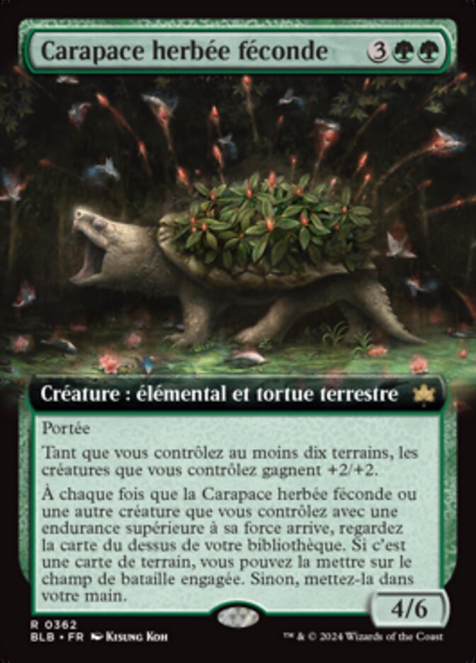 Carapace herbée féconde