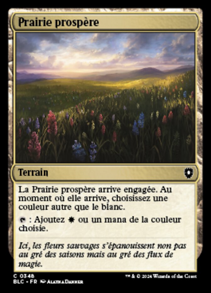 Prairie prospère