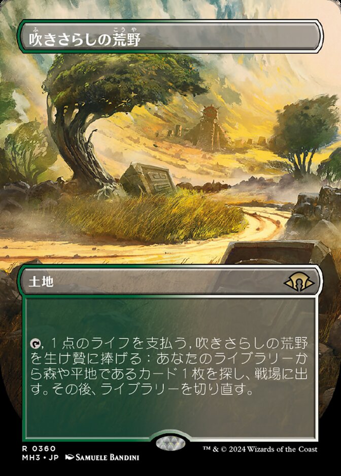 吹きさらしの荒野