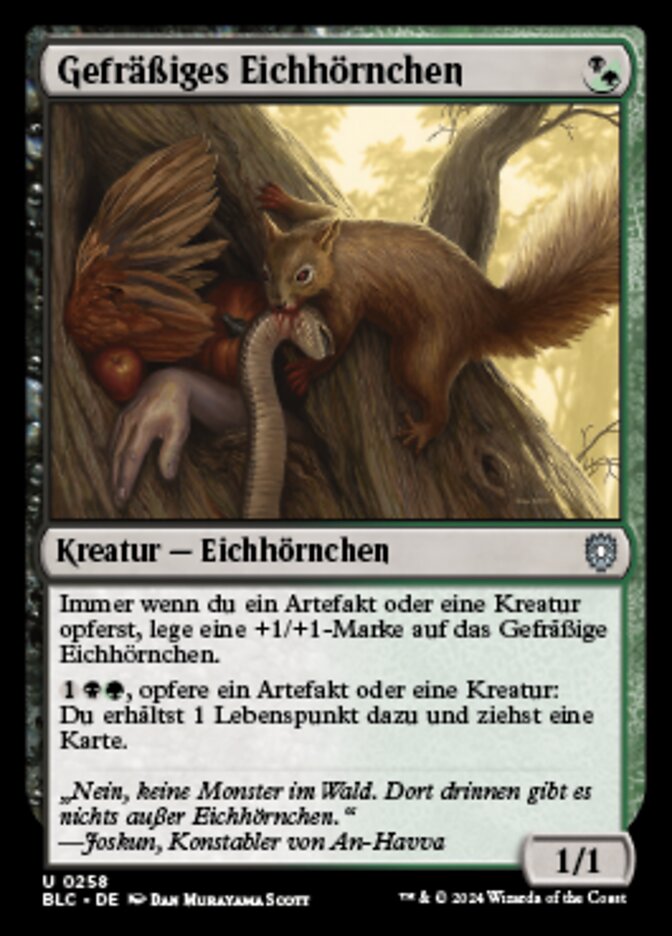 Gefräßiges Eichhörnchen