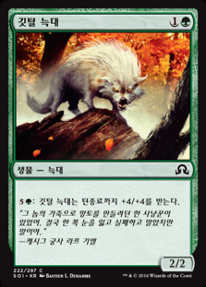Quilled Wolf (Shadows over Innistrad #222)