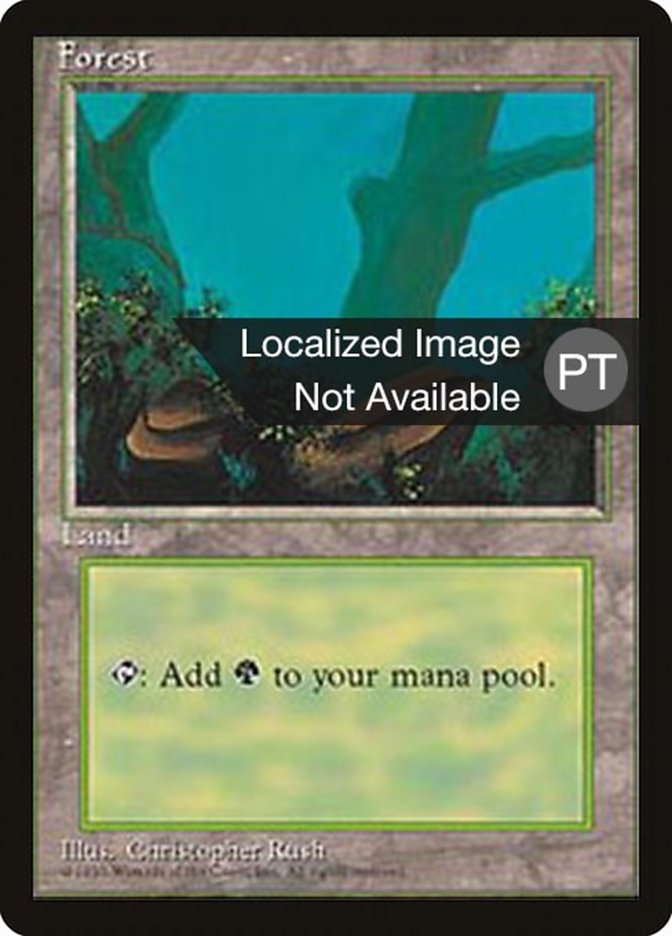 Forest (Fourth Edition Foreign Black Border #376)
