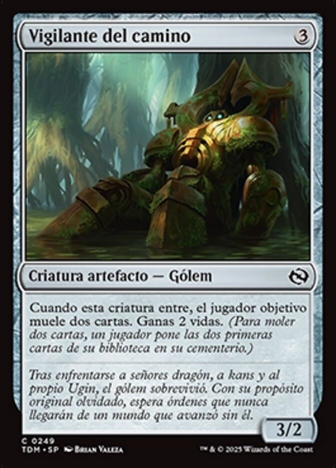 Vigilante del camino