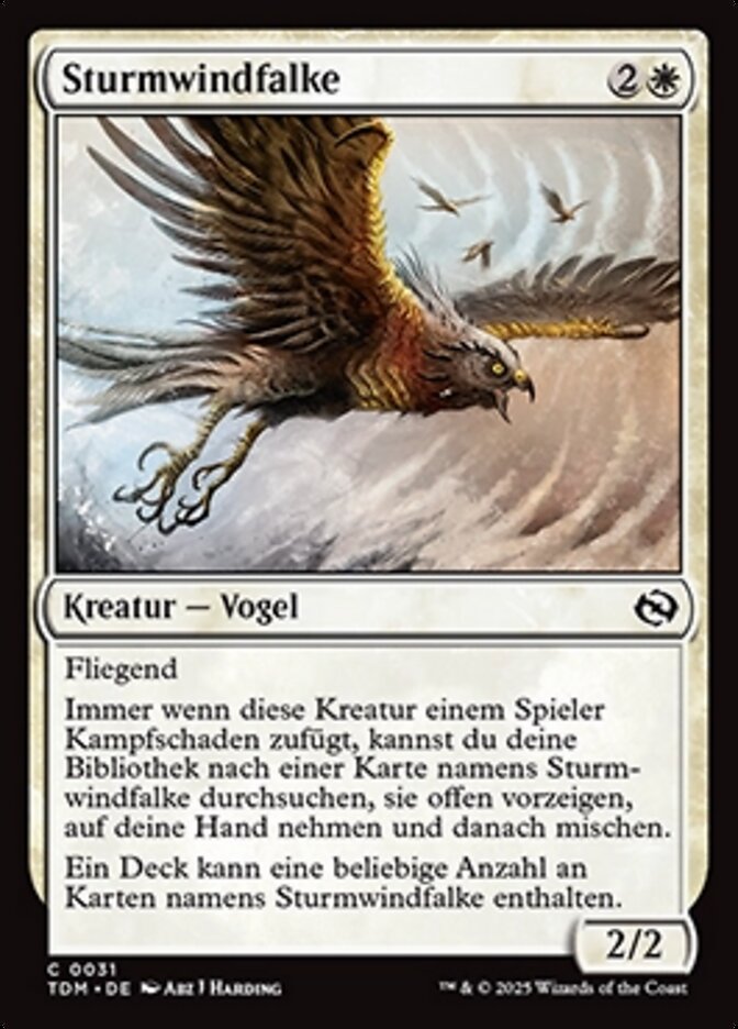 Sturmwindfalke
