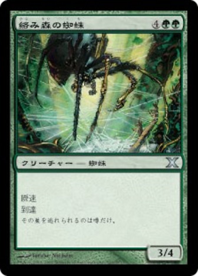 絡み森の蜘蛛