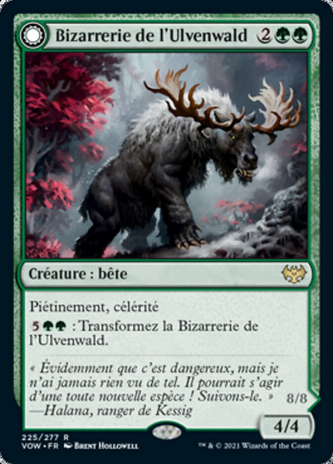 Bizarrerie de l'Ulvenwald