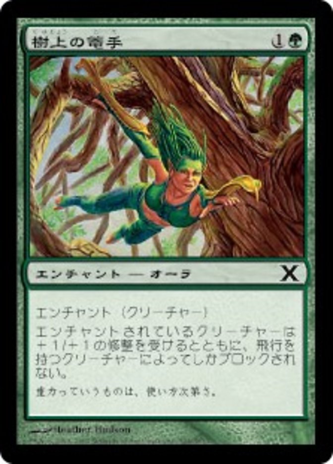 Treetop Bracers (Tenth Edition #304)