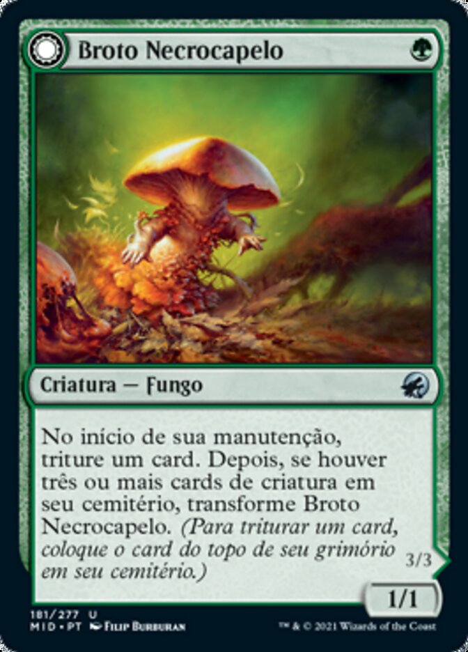Broto Necrocapelo