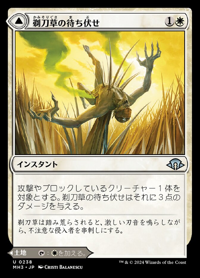 剃刀草の待ち伏せ