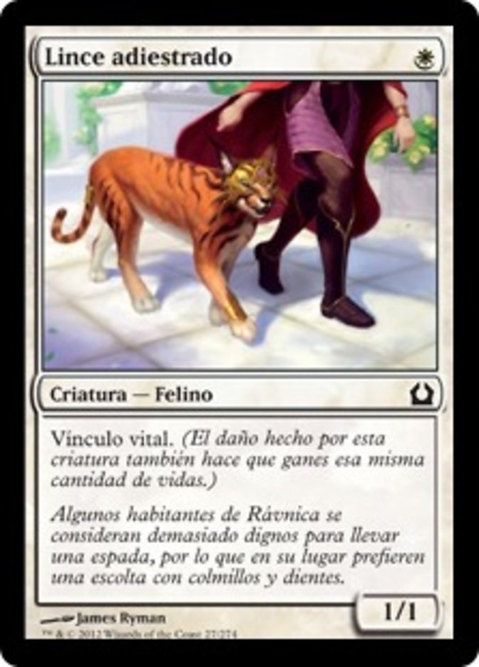 Trained Caracal (Return to Ravnica #27)