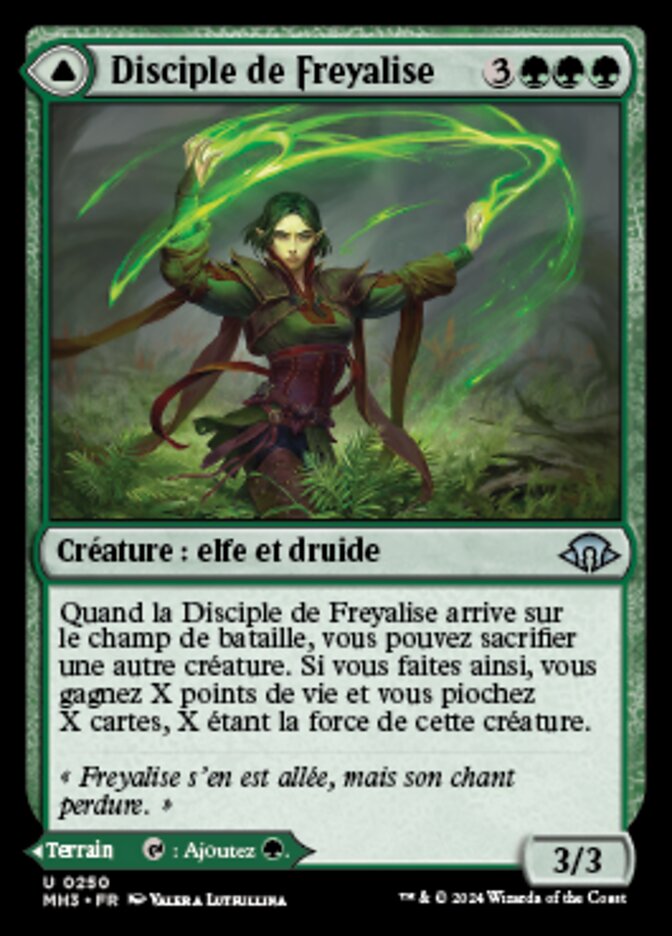 Disciple de Freyalise