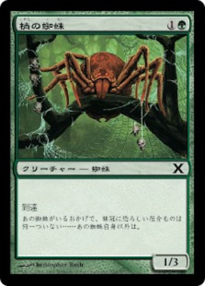 Canopy Spider (Tenth Edition #254)