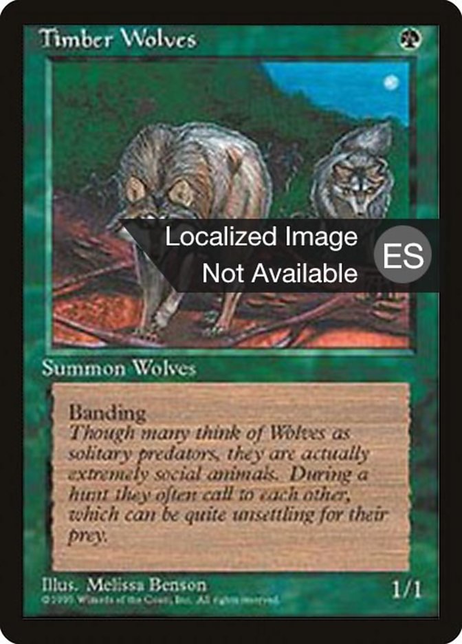 Timber Wolves (Fourth Edition Foreign Black Border #275)