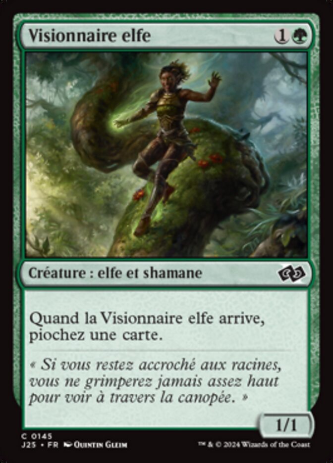 Visionnaire elfe