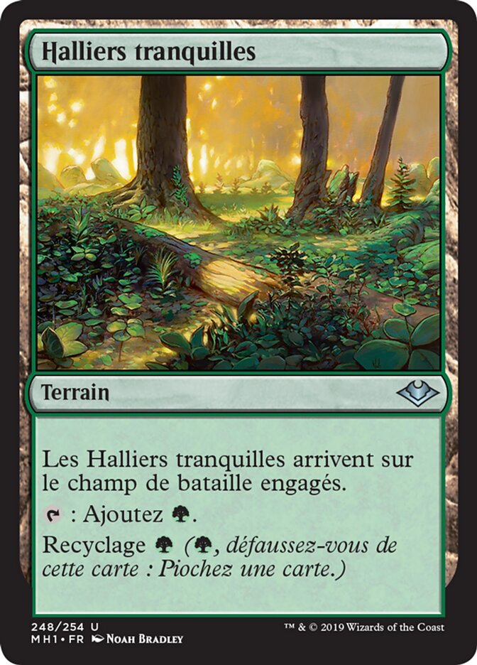 Tranquil Thicket (Modern Horizons #248)